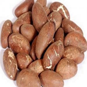  Bitter Kola - fruits secs et graines grillées nous disposons de bitter kola d'excellente qualit&eacute; en grande quantit&eacute;. nous contacter si int&eacute;ress&eacute;--