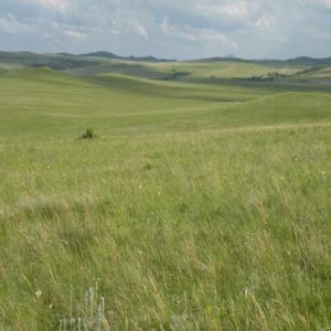  Cherche Un Partenaire Avec Un Savoir Faire - autres investisseur possède un terrain agricole de  120 h avec fourrage à haut débit.. cherche un partenaire avec un savoir faire pour un projet rentable avec un apport financier.. ouvert à toute proposition