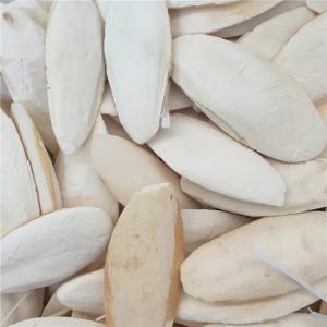  Os De Seich En Poudre - coquillage crustacé je met en vente les os de seich en poudre tres bon qualité avec des prix exceptionnelle ,  je suis localiser en algerie pour plus d'information contactez moi et je serai tres heureux de vous repondre 