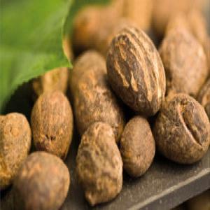  Recherche En Agropastoral Et De Partenaires - autres je suis le pr&eacute;sident d' un gie sp&eacute;cialis&eacute; dans l'agropastoral. nous sommes &agrave; la recherche des partenaires financiers,  parrains,  majors,  freelances,  associ&eacute;s et investisseurs pour le d&eacute;veloppement des activit&eacute;s(production v&eacute;g&eacute;tale,  animal