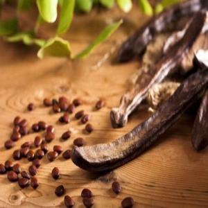  Contract D'achat De Caroube Pour La Saison - semence graine plant nous sommes une société spécialisée dans l'export de caroube. nous représentons deux grands consortium internationaux en agro-alimentaire,  qui achètent de gros volumes de caroube par mois/an. nous sommes à la recherche de fournisseurs de caroube s&eac