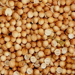  Grain De Coriandre - céréales grains de coriandre purs de tr&egrave;s bonne qualit&eacute; &agrave; prix imbattable