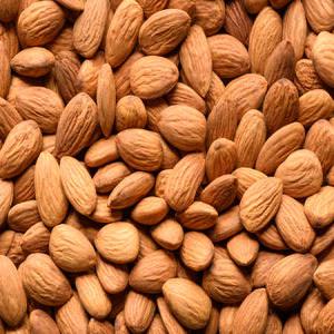  Amandes, Cacahuètes Et Noisettes Origine France - fruits secs et graines grillées nous disposons de stocks d'amandes,  cacahuètes et noisettes origine france.--crues ou grillées à sec. plusieurs conditionnements possible.