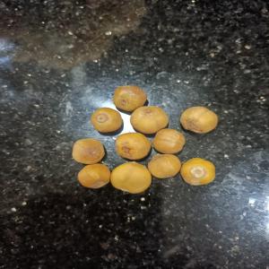  Graines De Biok - semence graine plant bonjour, --je cherche des fournisseurs de graines de biok en alg&eacute;rie. 