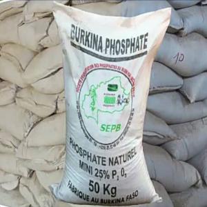  Burkina Phosphate - chimie additif engrais le bp (burkina phosphate) est un amendement phosphat&eacute; naturel extrait au burkina faso. il est constitu&eacute; de pentoxyde de phosphore p2o5 sup&eacute;rieur &agrave; 25% et d'oxyde de calcium cao &agrave; plus de 35%.--avantages pour la plante ---le bp est une source naturelle du phosphore.