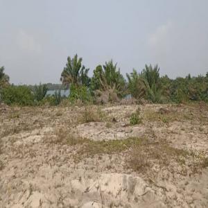  Urgent Songon Audoin Santé - mine terrain concession nous disposons d'un tres beau site en bordure du lac labion avec quelques superfice de 500 à 600 m² pour different prix interessant . bon endroit pour ceux qui on de projet dans l'avenir --@500= 3.500.000 fcfa--@600= 4.000.000 fcfa