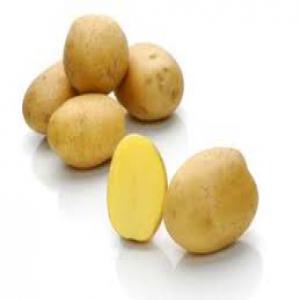  Granola Potatoes - fruits and vegetables granola potatoes have a shape that tendsto be oval witha flesh color that tends to be yellow. for the purpose of processing,  granola potatoes are still more often processedas people s daily food--price 700.39usd per ton