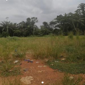  Songon Lots De 500m² - mine terrain concession opportunitée au village de bago km44 a songon lots de 500m² --livré avec approbation a la fin de travaux--nb- proges de financement a 1.800.000 fcfa/ lot