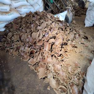  Vente De Tourteau De Coton - aliments pour animaux vente de tourteau de coton tr&egrave;s bonne qualit&eacute; disponible au burkina faso &agrave; ouagadougou pr&egrave;s &agrave; l'export.--besoin d'un acheteur direct. --merci