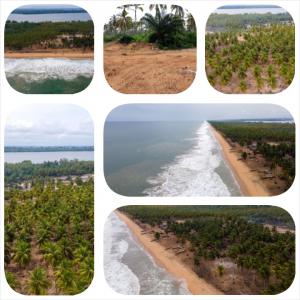  Site Entre Mer Et Lagune Vendre En Côte D'ivoir - mine terrain concession site à vendre pour réalisation de grands projets à caractère touristique à 4 heure d'abidjan----terrain en bordure entre la lagune et la mer à vendre à ebonou sous-prefecture de grand-lahou----superficie-12 ha----documents - attestation de propri&eacu