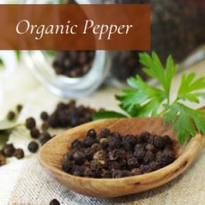  Poivre Noir Bio Origine Vietnam - épices aromates poivre noir bio origine vietnam qualité supérieure----le poivre biologique est cultivé,  récolté et produit strictement selon les directives de la technologie biologique,  pour fournir des produits sûrs et de haute qualité sur le marché.----nous n