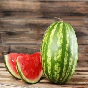  Producteur De Pasquette Citrullus Lanatus - fruits et légumes bonjour ici je suis un producteur de (citrullus lanatus ) depuis le benin je cherche un grossisse pour la livraison 