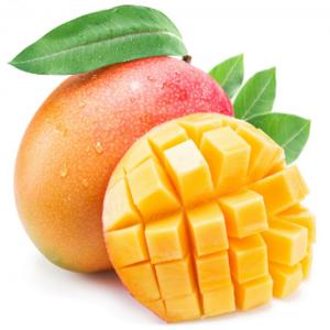  Mangue Kent Du Sénégal - fruits et légumes madame,  monsieur, --nous sommes une entreprise spécialisée dans l'importation de mangue kent du sénégal (afrique de l'ouest). nous souhaiterions vous proposer notre produit de très bonne qualité issu d'une agriculture biologique et durable.----