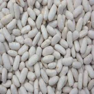  Vente Haricot - céréales bonjour,  on dispose une grande quantit&eacute; d'haricot a l'export de meilleur qualit&eacute; avec un prix tr&egrave;s comp&eacute;titif .,  pour plus d'information contacter nous sur whatsapp ou par e-mail.