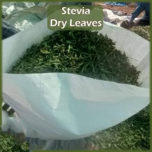  Feuilles Séchées De Stévia Bio - autres je met en vent des feuilles séchées de stévia bio,  de tres bon qualite agro-alimentaire,  récolte de l année!