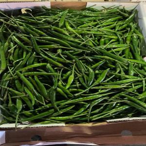  Bullet Chili/indian Chili/karela/habanero - fruits et légumes bjr,  je ai besoins d'un fournisseur  de ses produits mais je cherche aussi un fournisseur  de qualité  qui cherche de la continuité. --
