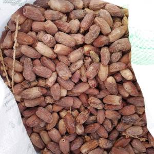  Ecarts Des Dattes De Tri Pour L'industrie - matiere vegetale bonjour;--nous sommes &agrave; la recherche des usines sp&eacute;cialis&eacute;es &agrave; la valorisation des &eacute;carts des dattes de tri pour faire une collaboration fructueux autour de l'ann&eacute;e d&egrave;s le d&eacute;but de saison de r&eacute;colte --merci de nous contacter.