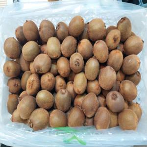  Fruit Kiwi 🥝 - fruits et légumes possibilit&eacute; de vous fournir le fruit kiwi 🥝 depuis chile livraison partout dans le monde les tailles---20-23--23-27--30-33--36-39--42-45--toute ses tailles sont disponibles faite vos choix quantit&eacute;s minimale de commande est un conteneur de 40 pieds 