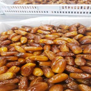  Cherche Acheteurs De Dattes Et Derivees - fruits et légumes nous sommes fournisseur de toute catégories de dattes tunisiennes et de sous produits à base de dattes - - dattes en branches,  vrac ,  dénoyautées. également sucre de dattes (poudre de dattes) ,  sirop de dattes,  confiture de dattes et pâte de dattes.--nous avo
