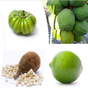  Matières Premieres Agricoles, Fruits, Céréales - fruits et légumes nous recherchons des acheteurs de plusieurs tonnes de mati&egrave;res premi&egrave;res agricoles depuis le s&eacute;n&eacute;gal pour une collaboration dans le long terme----nous sommes sp&eacute;cialis&eacute;s dans la vente des produits tel que------le citron---la mangue---la papaye---le fruit de 