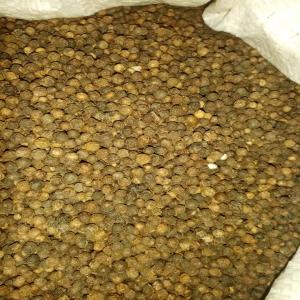  Poivre Noir Disponible Abidjan - épices aromates *stock de poivre disponible*-- *quantité* - + de 10 tonnes.-- *prix - 5.500 fcfa le kg*.-- *position* - abidjan.--* possibilité d'en avoir plus suivant commande ferme.--* paiement cash espèces à l'enlèvement ou livraison sur vos entrepôts abidjan.