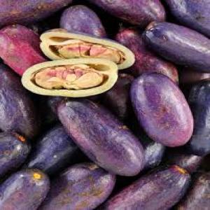  Vente De Safou Frais - fruits et légumes notre coop&eacute;rative en cote d'ivoire dispose de quantit&eacute;s importantes de safou pour export. --depuis nos plantations,  directement au consommateur final. --nous recherchons des nouveaux clients pour le d&eacute;but de la campagne juin 2022.--nous restons &agrave; votre disposition pour pl