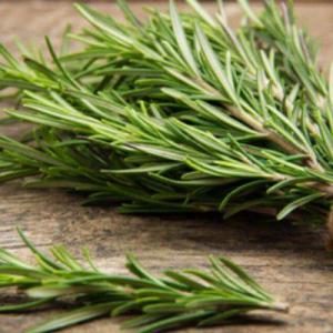  Recherche Clients Plante Aromatique Et Médicinale - épices aromates madame / monsieur, --notre soci&eacute;t&eacute; est sp&eacute;cialis&eacute;e dans le concassage des gousses de caroubier,  la vente et l'exportation de la graine. depuis plusieurs ann&eacute;es,  nous contribuons &agrave; la comp&eacute;titivit&eacute; de nos clients par nos moyens de vigilance accru