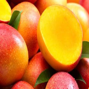  Mangues Africaines - fruits et légumes nous sommes a la recherche d'un client pour l'achat de mangues africaines précisément en cote d'ivoire (mangue provenant du nord du pays). nous disposons de 1 à 5 tonnes disponibles.