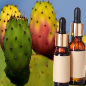  Huile Végétale De Pépins De Figue De La Barbarie - huiles bonjour,  on dispose huile végétale de pépins de figue de la barbarie bio,  pure et naturelle .,  pour plus d'information contacter nous sur whatsapp ou par e-mail.