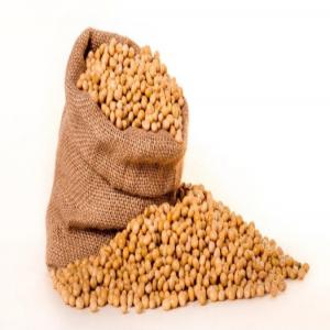  Le Céréale Soja - céréales le soja est céréales plus utilisé dans le monde pour la fabrication de max d'aliment et autre.----nous disposons de grand stock a la livraison.