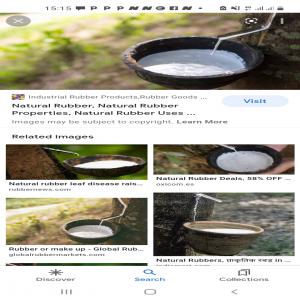  Courtier En Negoce De Cautchouc Naturel-hevea - semence graine plant courtier en negoce recherche des partenaires pour une intermediation dans le domaine du commerce du cautchouc naturel produit dans le sud de la cote d'ivoire,  dans la region d'aboisso d'ou je suis originaire. je parle parfaitement l'anglais,  donc clients anglophones seraient aussi a bienvenue. pour 