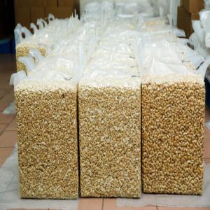  Amandes De Cajou - fruits secs et graines grillées des amandes de cajou ww320,  ww240,  ww450,  sw240,  sw320,  sw450 pr&eacute;sentement disponibles en c&ocirc;te d'ivoire en grande quantit&eacute; livraison partout dans le monde pour toute personne int&eacute;ress&eacute;e nous contact&eacute;s par mail ou whatsapp 