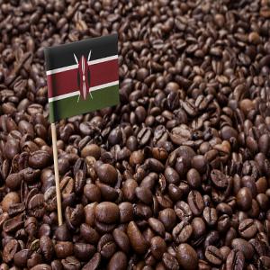  Cafe, Cacao Et The Noir - café cacao thé je suis a la recherche de clients internationaux serieux qui sont prets a acheter du cafe cacao et the noir de tres bonne qualite et en grande quantite provenant du kenya ouganda ethiopie cote d'ivoire ou togo.
