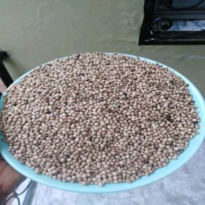  Poivre Blanc Poivre Noir Du Cameroun - épices aromates le cameroun détient le meilleur poivre blanc  du monde je suis le négociant de cette matière agricole donc  qui est un produit de qualité