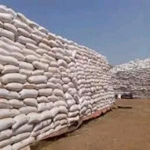  Nous Disposons De Graines De Coton Son Tourteau - semence graine plant salut mes chers !--- disponible 6000 tonnes de graines de coton--- quantité illimitée de tourteau de coton.--- lieux - bénin--des vrais acheteurs me contacte directe