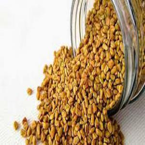  Vente Grain De Fenugrec - autres bonjour,  on dispose le grain de fenugrec de haute qualité avec un prix très compétitif .,  pour plus d'information contacter nous sur whatsapp ou par e-mail.