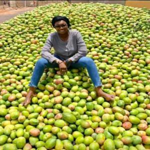  Vente De Mangue - fruits et légumes salut nous vendons de la mangue depuis le cameroun nous cherchons des partenaires venant de  l europe ou asie pour collaboré avec eux--