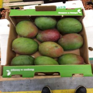  Fruit Mango Kent - fruits et légumes  ch&egrave;res clients nous disposons de plusieurs tonnage de mango kent calibre de 4 &agrave; 12 avec toutes sortes de colloration 