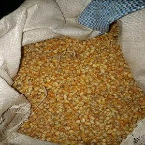  Aliments Pour Bétail - aliments pour animaux &agrave; la recherche d'un partenariats dans le domaine de l'alimentation pour les b&eacute;tail des aliments disponible en quantit&eacute; suffisante tout au long de l'ann&eacute;e