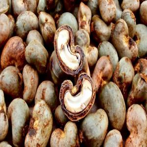  Déstockage De Noix De Cajou - fruits secs et graines grillées bonjour à tous. nous avons à votre disposition une importante quantité de la noix de cajou de très bonne qualité. nous sommes disposé à toute discussion avec d'éventuel client ou partenaire venant de partout.---non decortique- 650.000 francs cf