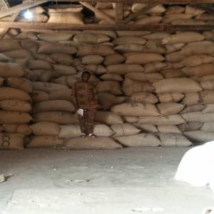  Cajou Benin - fruits secs et graines grillées nous avons actuellement en stock,  plus de 200 tonnes de noix de cajou brutes. il s'agit ici de la première récolte de l'année (taux d'humidité très faible).--le vendeur s'occupe du transport du produit jusqu'à son acheminement au lieu de destination (tr&egra