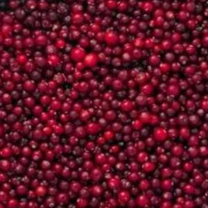  Frozen Red Currant (сranberry). Class - fruits and vegetables red currant (сranberry) (ribes rubrum) harvested in an ecologically clean regions of ukraine,  so it has low radiological characteristics and high mass fraction anticinides (up 0.43% ).----we have frozen red currant (сranberry) of class a available-----class a red currants are intended fo