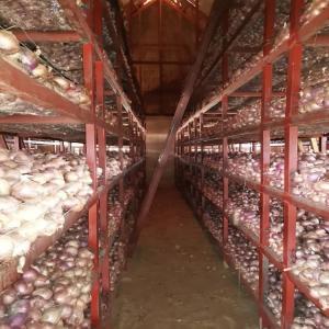  Vente D'oignon De Conservation Au Burkina Faso - fruits et légumes nous disposons de 37 tonnes d'oignons de conservation à ouagadougou. la production a été encadré afin d'obtenir des oignons de taille et de qualité uniforme. les oignons sont actuellement stocké dans des magasins spécial conçu pour la conservat