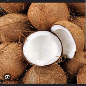  Clients Pour Achat Des Produits Alimentaires - fruits secs et graines grillées nous disposons d'une grande capacit&eacute; &agrave; fournir des avocats et , des noix de coco.--disponible en sacs de 25 kg.