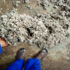  Tourteaux De Coton - fruits secs et graines grillées nous sommes des producteurs de coton et nous disposons actuellement des tourteau de coton et le coton fibre de tr&egrave;s bonnes qualit&eacute;s et nous aimerions vendre aux acheteurs s&eacute;rieux.--pas d'interm&eacute;diaire svp 