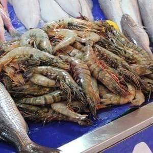  Vente De Poissons - poissons groupe de marins pecheurs qui met &agrave; votre disposition tout sorte de poissons frais et de crustac&eacute;s en d&eacute;tail et en grande quantit&eacute; au port de peche d abidjan. les poissons et crustac&eacute;s pech&eacute;s sont bien entretenus et conserv&eacute;s pour une meilleure quali
