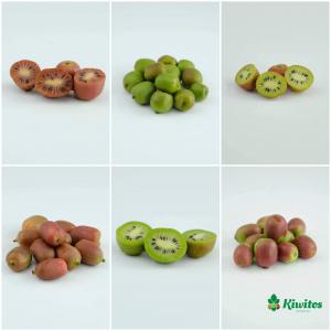 Baby kiwis Bio  - fruits et légumes  je suis producteur de baby kiwi bio au portugal,  plusieurs variétés différentes en goût couleur et formes. nouveau petits fruits pour le rayon baies. 