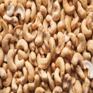  Acajou Bénin En Stock ☺️ - fruits secs et graines grillées bonjour chers tous,  vous etes à la  recherches des matières premières telles que le noix  cajou ? alors n'hésitez point nous sommes au bénin et avons de très bons noix de cajou , plus de 20 tonnes de cajou peuvent etre livrés chaque mois . incroyable &