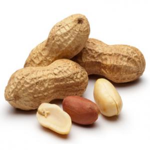  Grains D'arachides Séchés - fruits secs et graines grillées l'arachide,  ( cacahuètes) ou arachis hypogaea,  est une plante tropicale et subtropicale de la famille des légumineuses. originaire d'amérique du sud,  elle pousse aussi ailleurs dans le monde (afrique,  asie). de la meme famille que les haricots,  pois,  fèves,  lentilles,  la 