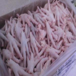  Frozen Chicken Feet Chicken Paws - meat and eggs our whole frozen chicken are specially hand slaughtered accordingly to islamic (halal) and international requirements.---- ----all shipments of our products to the ports of delivery are quality inspected with a complete custom approval policy for all goods on board insured and covered with an insura